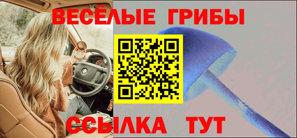 Галлюциногенные грибы прущие грибы  цена наркотик  Сертолово  Вход с VPN 